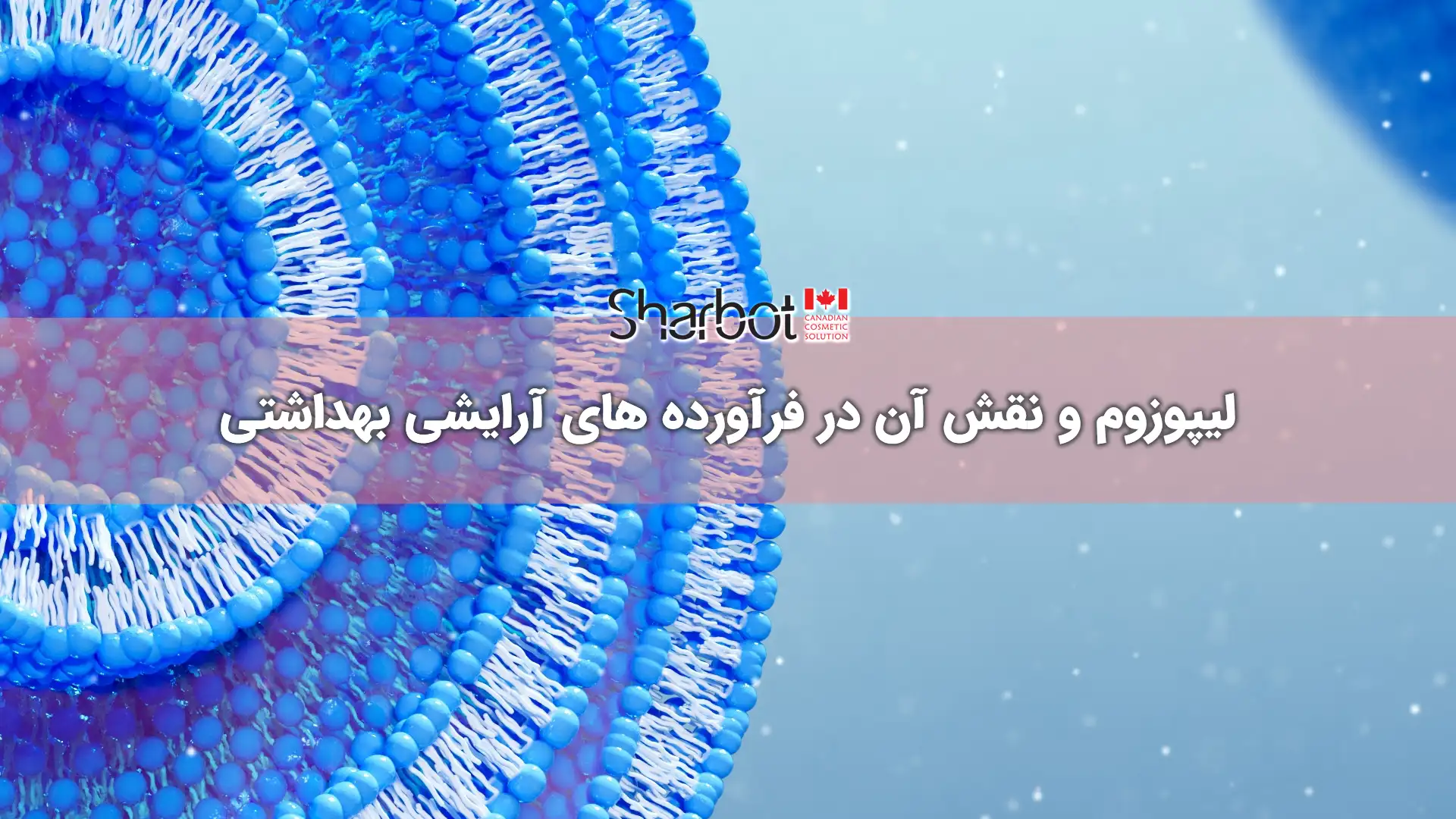 لیپوزوم و نقش آن در فرآورده های آرایشی بهداشتی