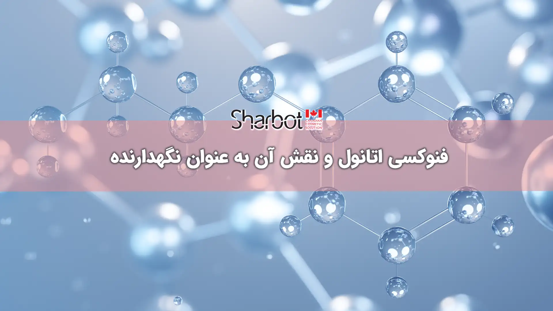فنوکسی اتانول و نقش آن به عنوان نگهدارنده